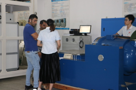 Big Force Electrodynamics High Frequency Shaker Δονητής Τραπέζι 100g Επιτάχυνση